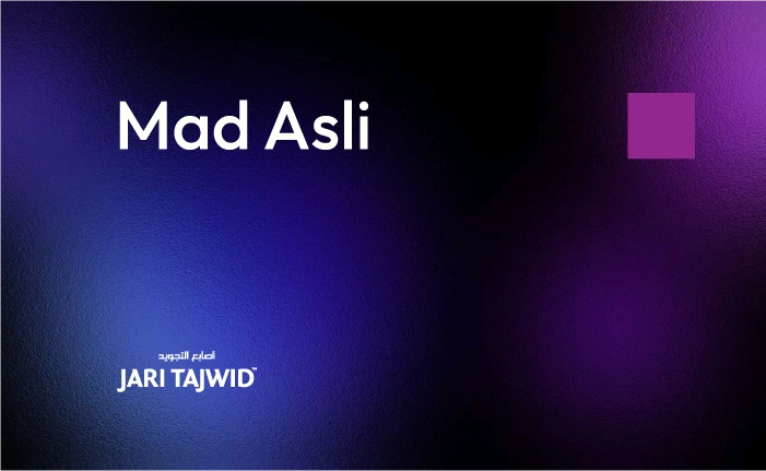 Mad Asli